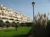 Gardens in front apartments